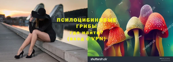 гидра Богданович