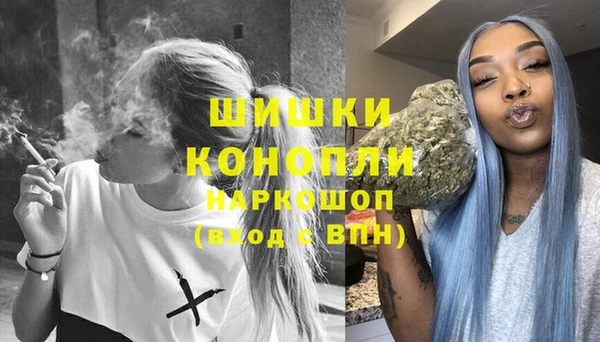 соль ск Богородск
