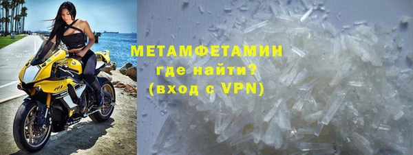 гидра Богданович