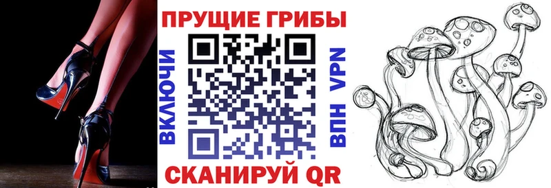 Галлюциногенные грибы мицелий  Купить  Сольцы 